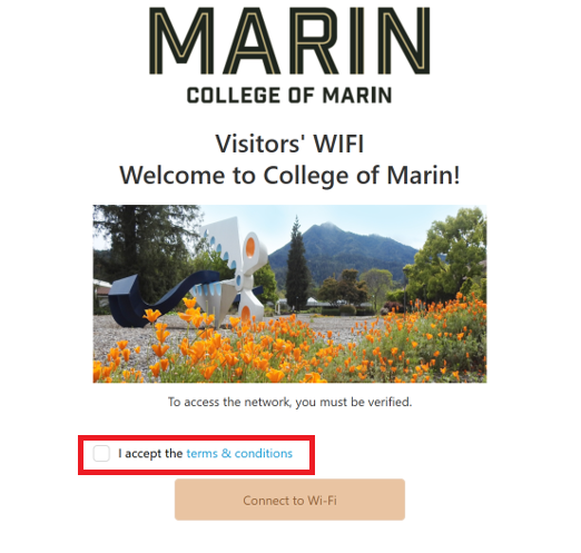 Visitor Wifi - Terms & Conditions